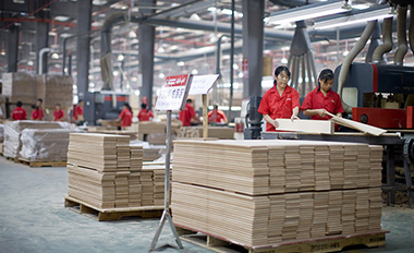 十五年行業(yè)積淀