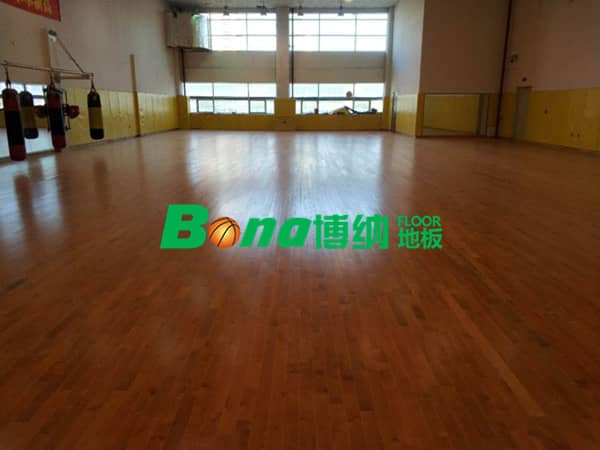 遼寧體育局女子散打館案例