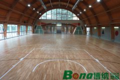 河北張家口市蔚縣公安局體育館木地