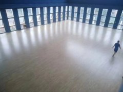 高新區(qū)公安局，楓樺木A級(jí)主副龍骨